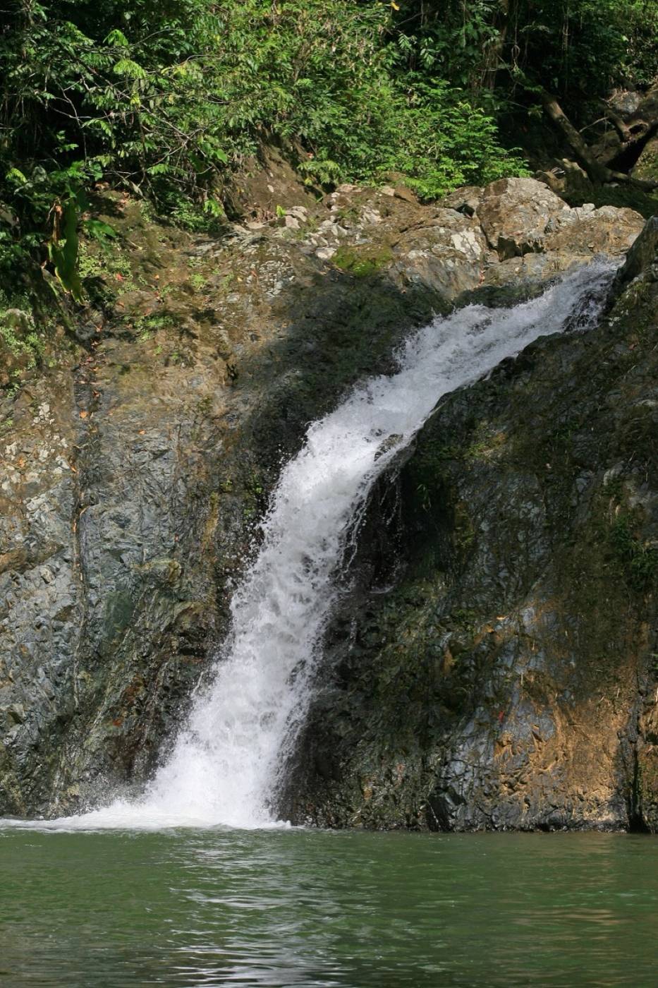 Argyle Waterfall cascading into a forest pool